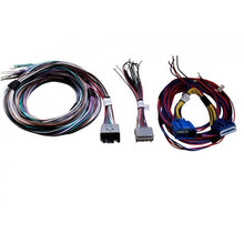 Load image into Gallery viewer, Pac-Audio APH-FD01 2007-2019 Ford vehicles with Factory Amplified Sound Systems Speaker Connection Harness