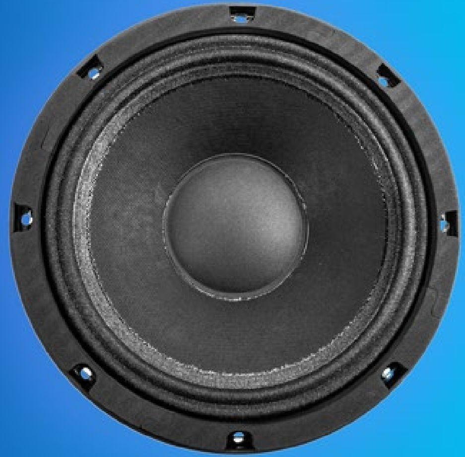 Beyma Pro10WFE Pro WND 10-inch Mid-Bass Speaker (Each)