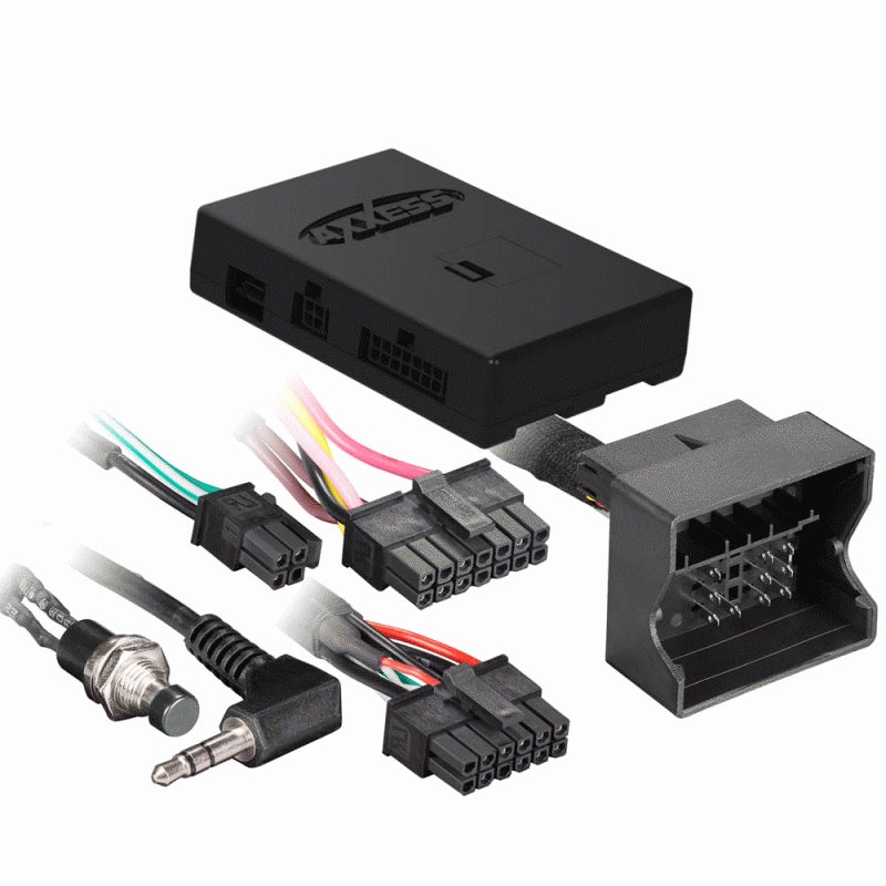 Axxess AXDIS-BW112 BMW Mini (R53) (with Harmon Kardon Amplifier) 2001-2006