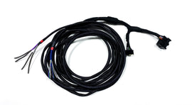 Custom Radio Integration T-Harness for Base Model Vehicles - RCA Tips - Compatible with 2021+ Ford Vehicles - Speaker Wire